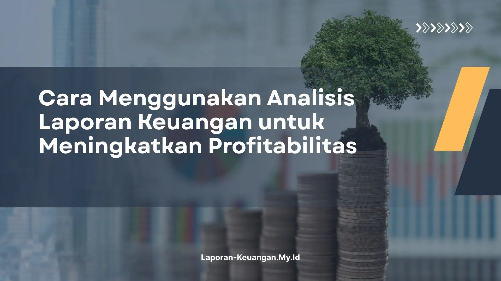 PELATIHAN CARA MENGGUNAKAN ANALISIS LAPORAN KEUANGAN UNTUK MENINGKATKAN PROFITABILITAS JAKARTA