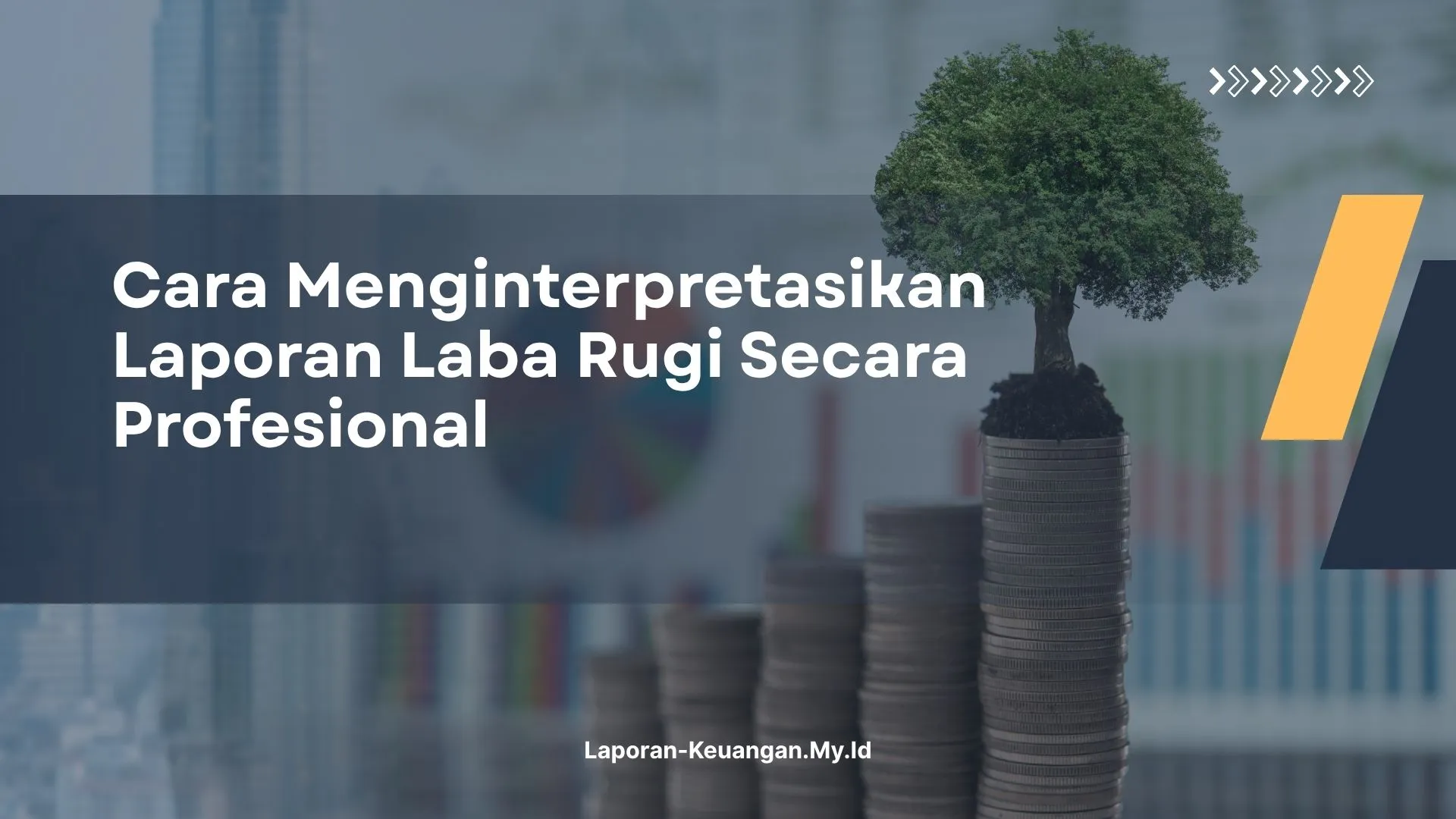 PELATIHAN CARA MENGINTERPRETASIKAN LAPORAN LABA RUGI SECARA PROFESIONAL JAKARTA