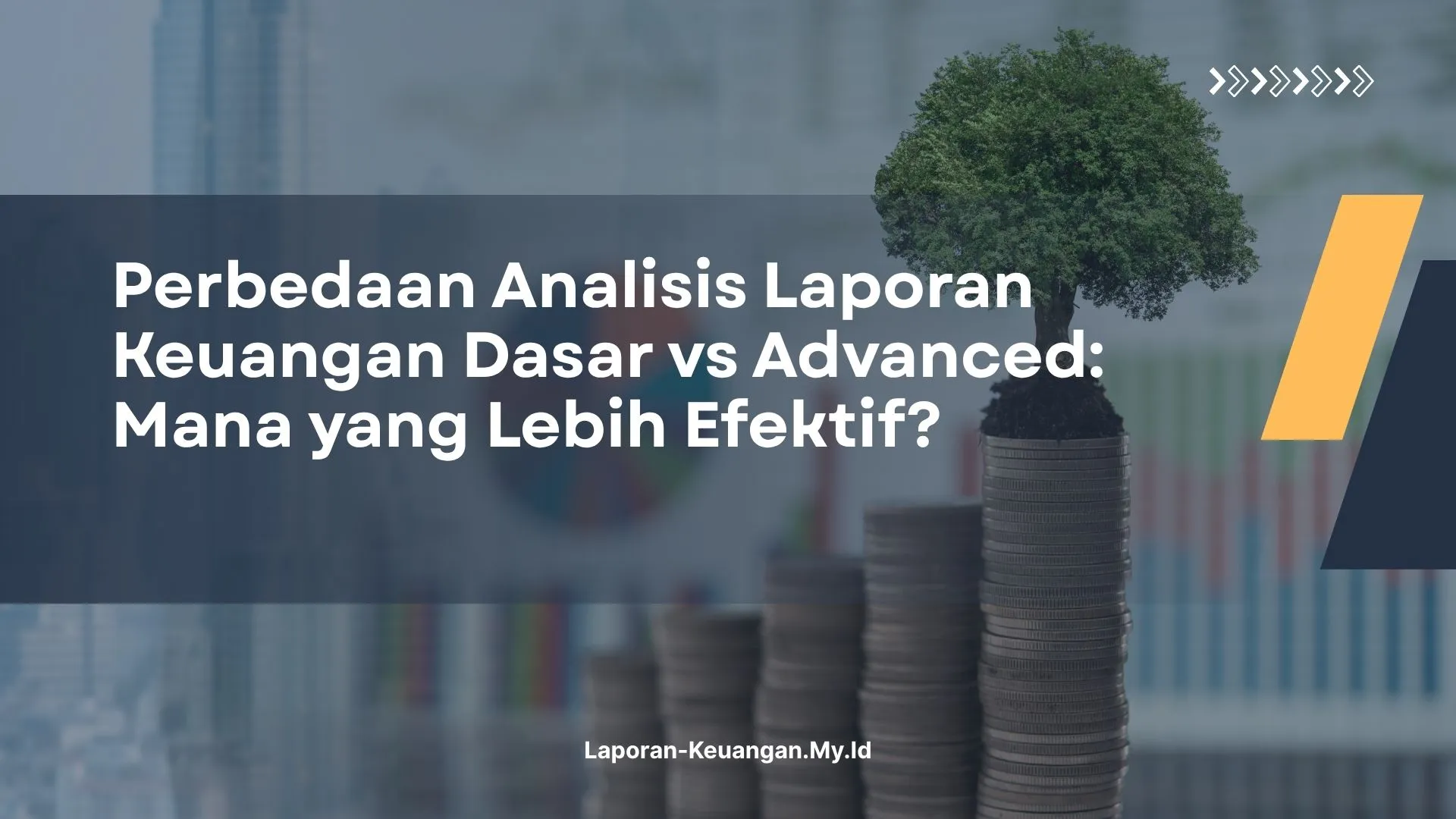 PELATIHAN PERBEDAAN ANALISIS LAPORAN KEUANGAN DASAR VS ADVANCED: MANA YANG LEBIH EFEKTIF? JAKARTA